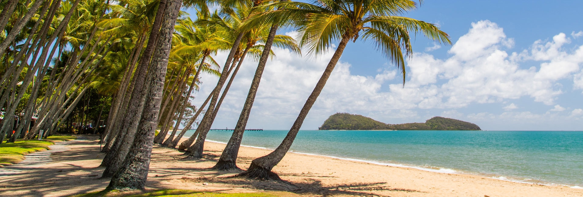 Palm Cove